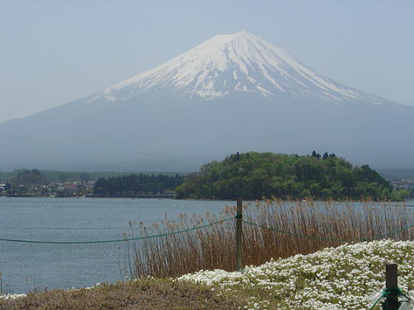 河口湖畔から富士山