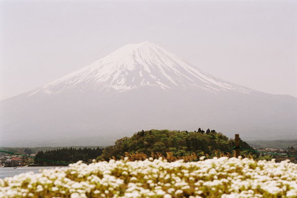 河口湖畔から富士山