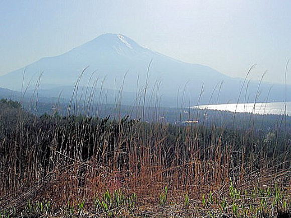 パノラマ台から山中湖と富士山