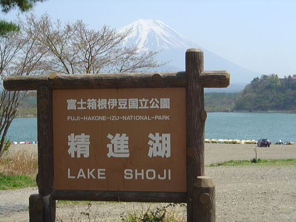 精進湖畔から富士山