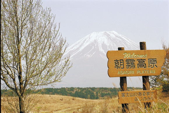 朝霧高原から