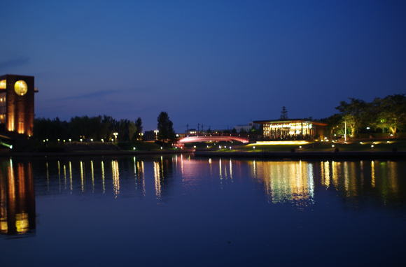 夜の環水公園