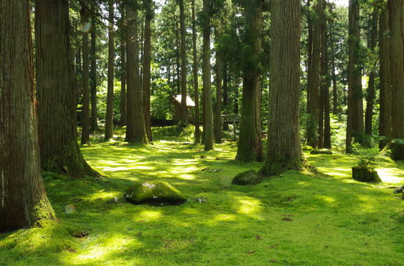 白山平泉寺