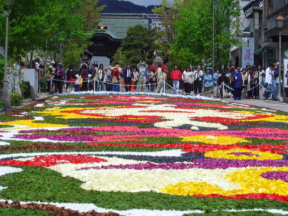 春　参道を埋める花のじゅうたん