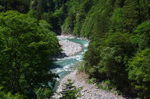 黒部川本流