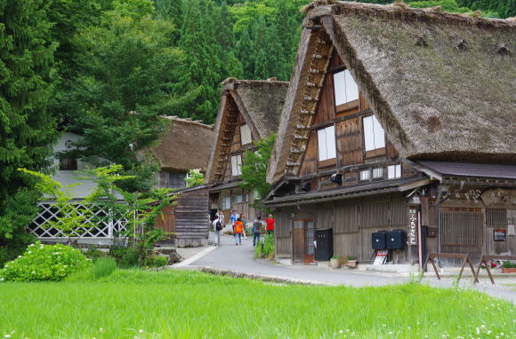 合掌造りの民宿が並びます