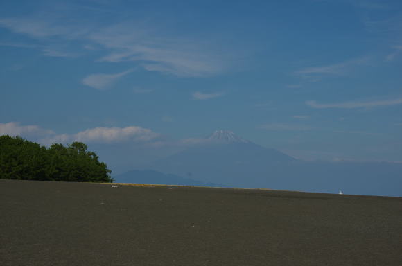 美保松原の先に富士山