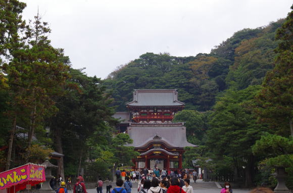 鶴岡八幡宮