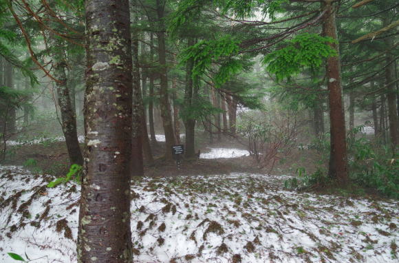 ６月、残雪の県道７０号