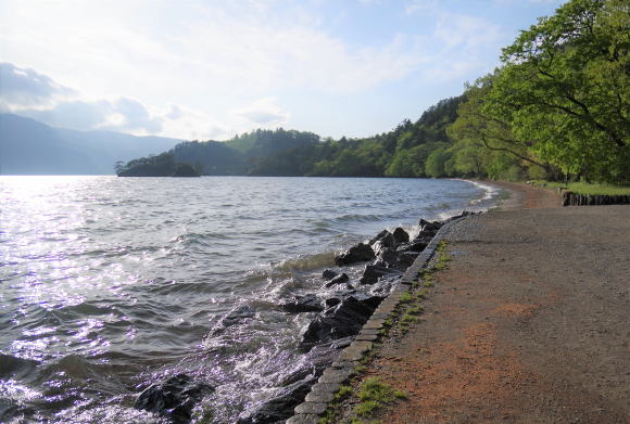 湖畔の遊歩道