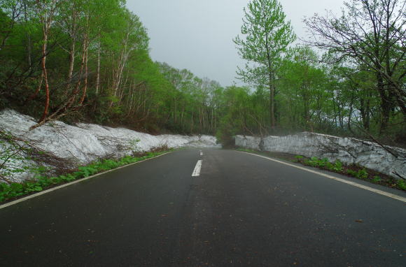 西十和田いで湯ライン