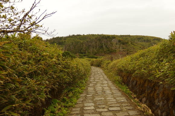 山頂へ続く遊歩道