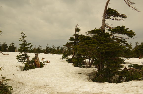 山頂へ続く雪道