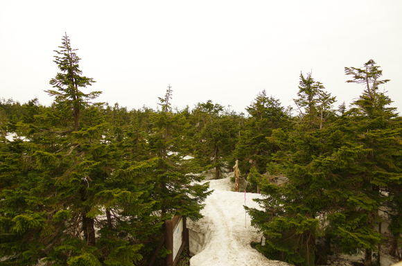 山頂へ続く雪道