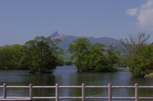 大沼公園散策路