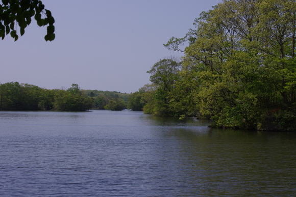 大沼湖