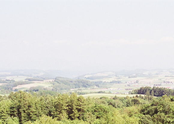 美瑛の丘の風景