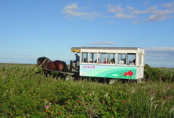 観光馬車