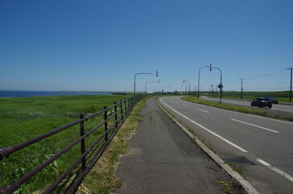 北方原生花園