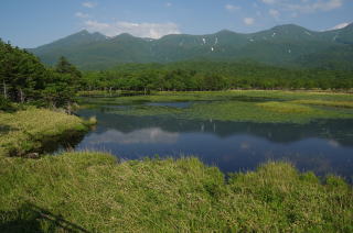 知床連山をバックに静かな知床五湖