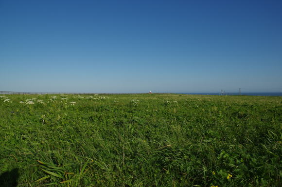 霧多布岬の丘