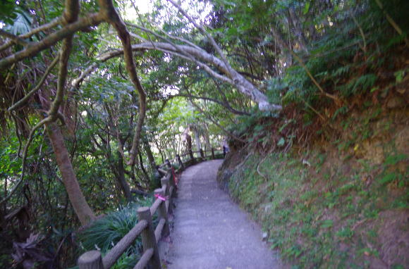 佐多岬への遊歩道