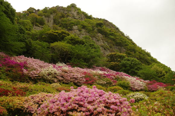 御船山楽園つつじ谷