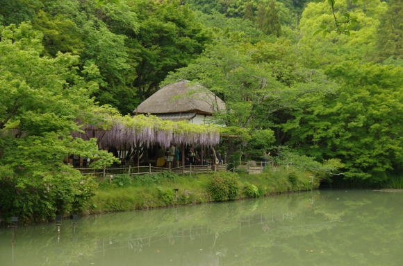 萩野尾御茶屋