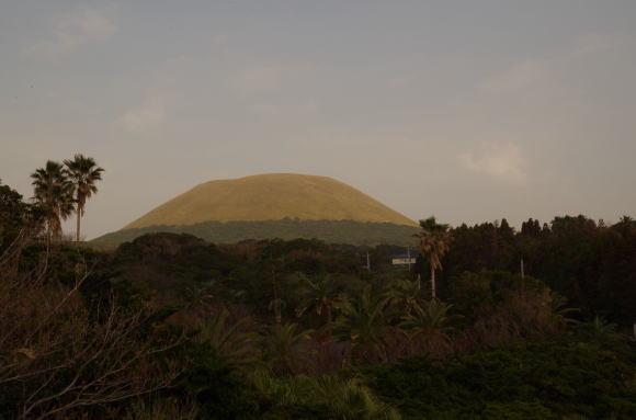 芝生に覆われた山