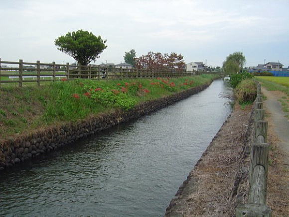 堀川用水