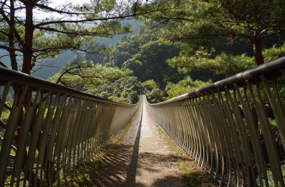 梅ノ木轟吊橋