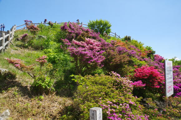 妙見岳山頂