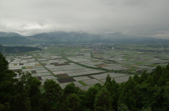 阿蘇盆地の水田地帯