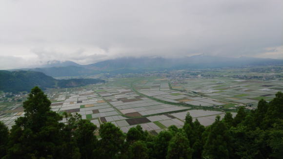 阿蘇盆地の水田地帯