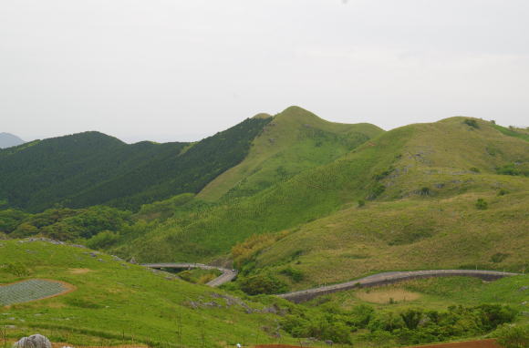 平尾台のカルスト地形