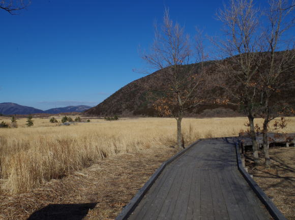 タデ原湿原