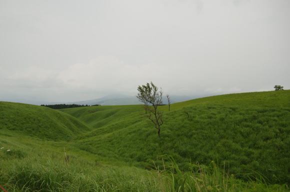 なだらかな草原地帯