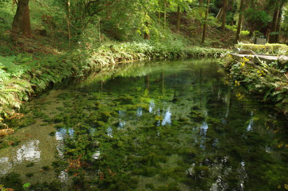 白川水源