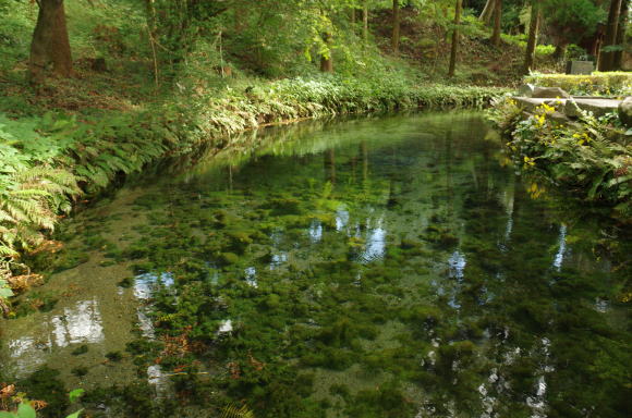 白川水源