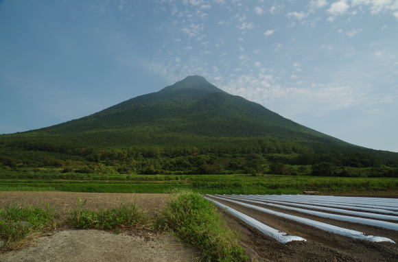 開聞岳西山麓