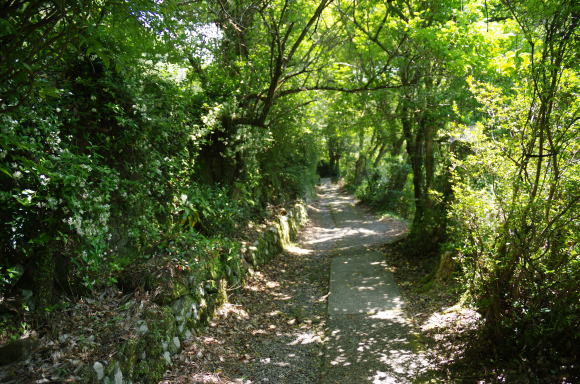 龍門の滝へ続く道