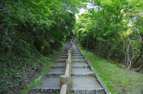 山頂へ続く階段