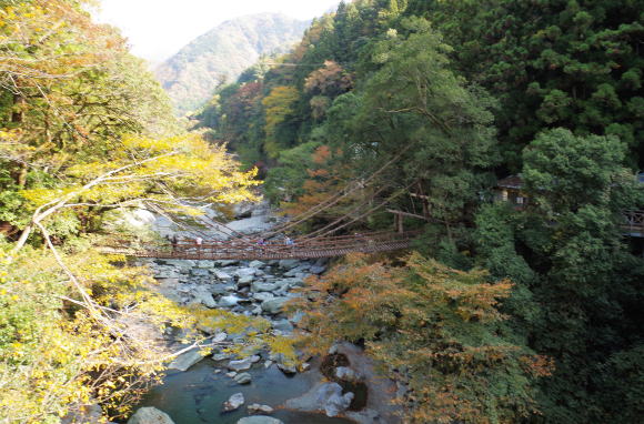 祖谷のかずら橋