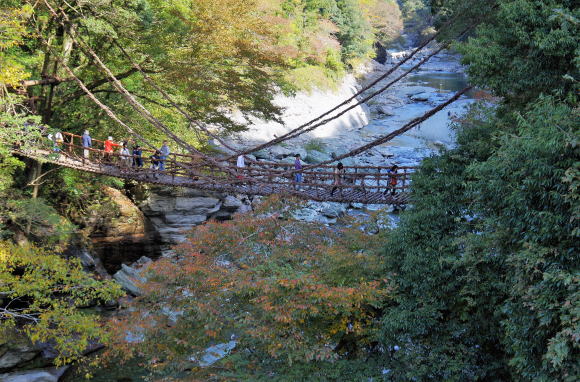 祖谷のかずら橋