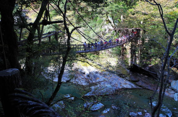 祖谷のかずら橋