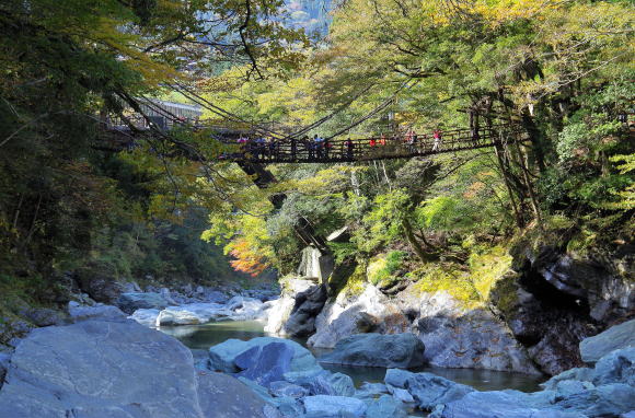 祖谷のかずら橋