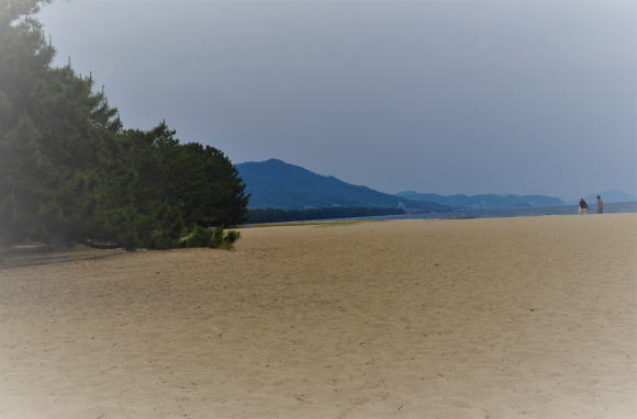 天橋立白砂海岸