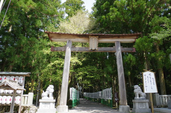 熊野本宮大社参道の鳥居