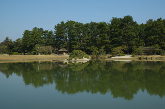 沢の池と中の島