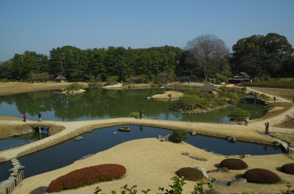 唯心山から沢の池全体がみえる